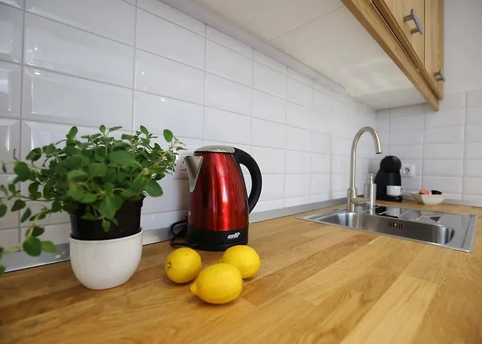 The Park * ザダル